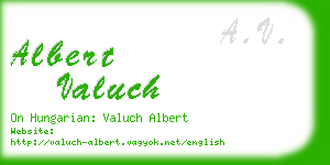 albert valuch business card